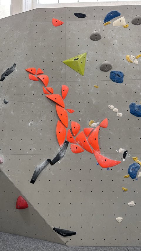 Abbildung des Boulders